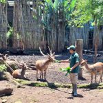 97dddae2-76c7-42e0-80c9-fafe55b5baab