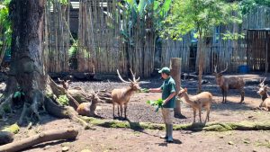 97dddae2-76c7-42e0-80c9-fafe55b5baab