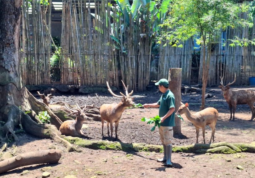 97dddae2-76c7-42e0-80c9-fafe55b5baab